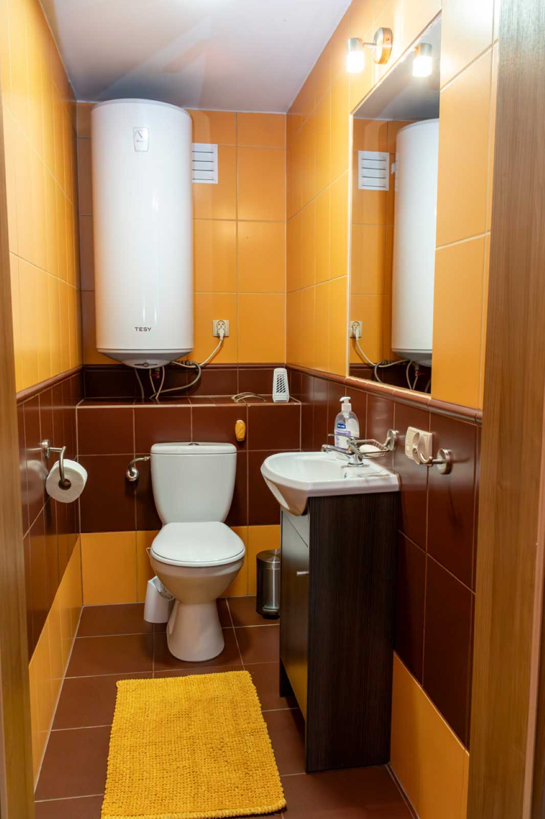 Biedronka &mdash; Toilette